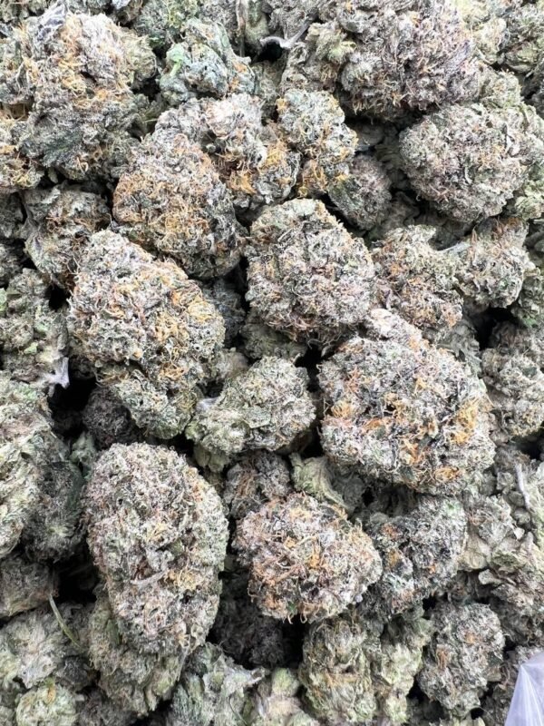 BACIO RUNTZ, 1 LB