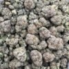 BACIO RUNTZ, 1 LB - Imagen 2
